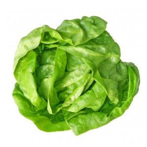 Lechuga del País Lisa