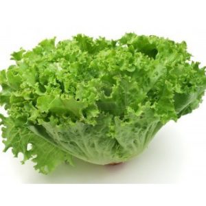 Lechuga del País Rizada
