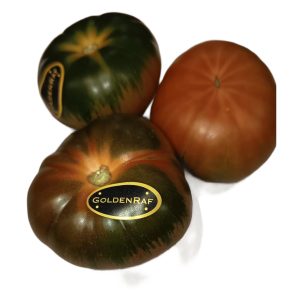 Tomate Golden Raf